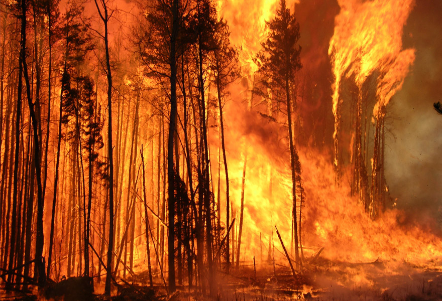 OroraTech utilizará tecnología satelital para ayudar a combatir los incendios forestales en Grecia